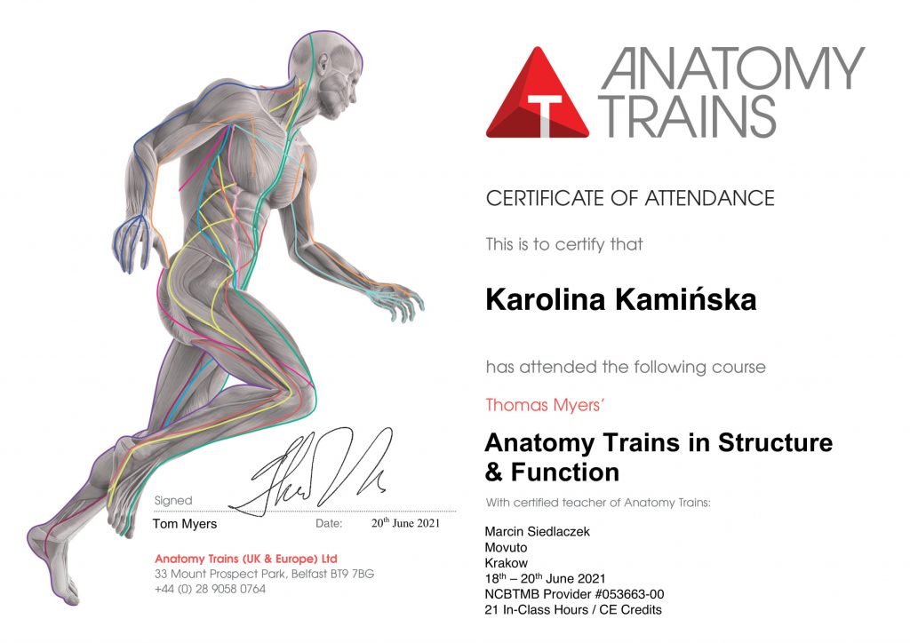 Anatomy Trains in Structure & Function